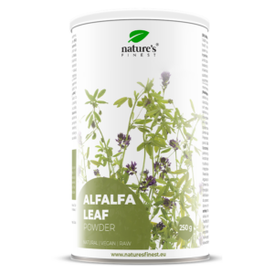 Alfalfa pulverisierte Blätter