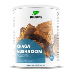 Chaga Pilz Pulver
