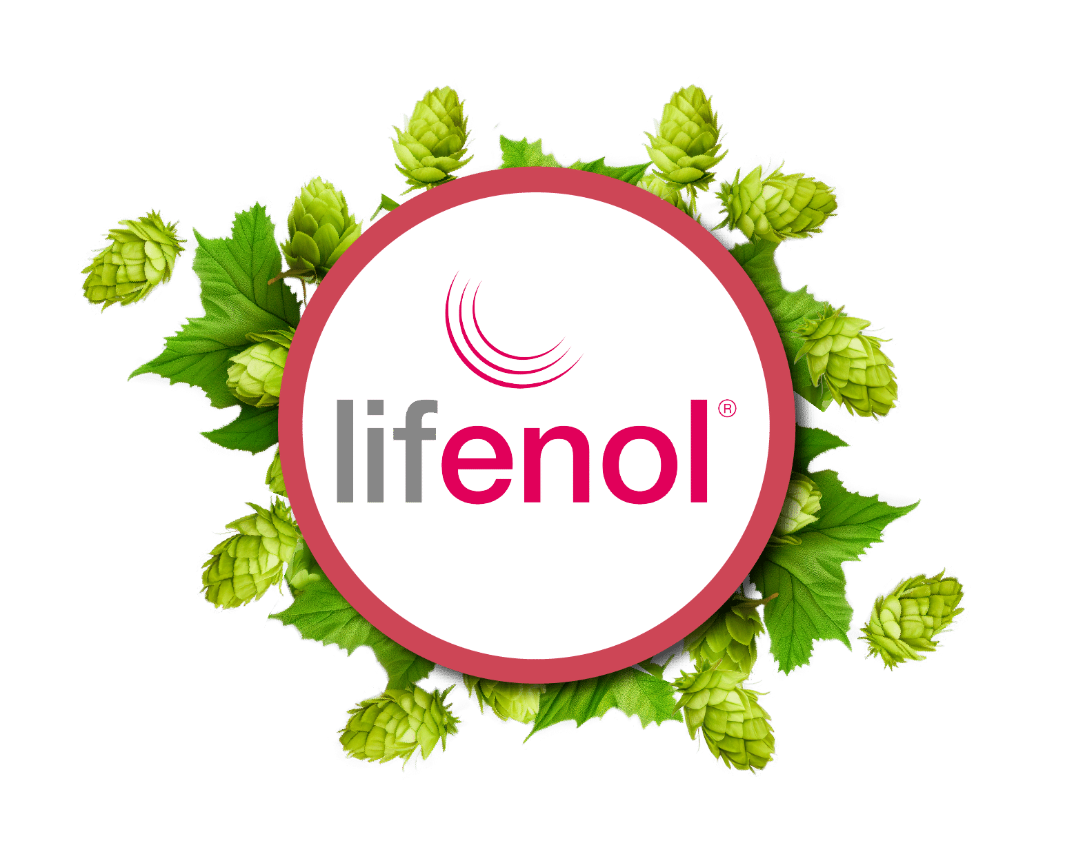 Bild der Produktoption