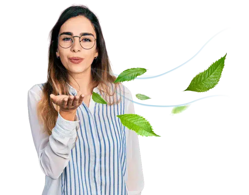 Bild der Produktoption