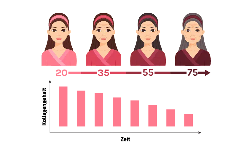 Bild der Produktoption