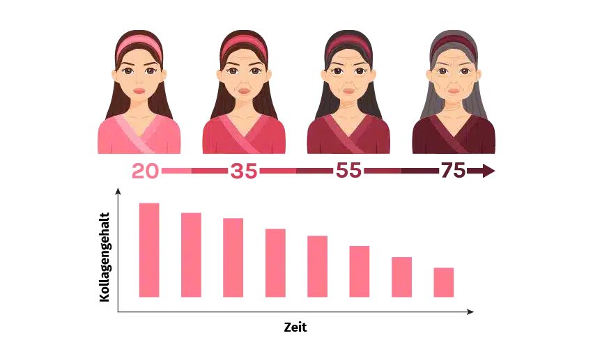 Bild der Produktoption
