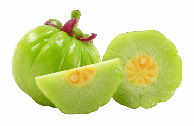 Garcinia Cambogia Extrakt