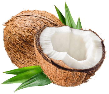 Natives Kokosöl