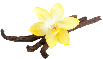 Vanille